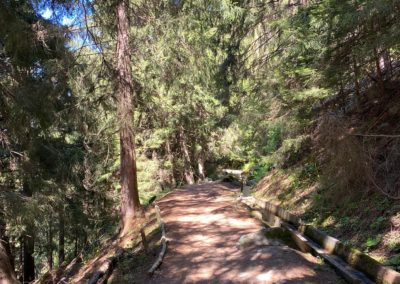 ME 22.07.26 | BALADE PATRIMONIALE SUR LE BISSE DE VEX