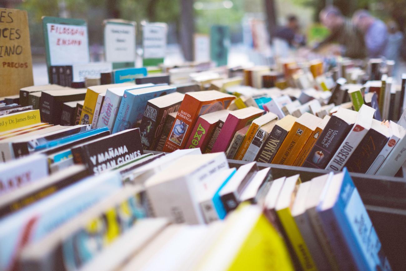 foire-aux-livres
